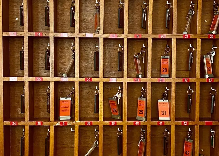 Studia